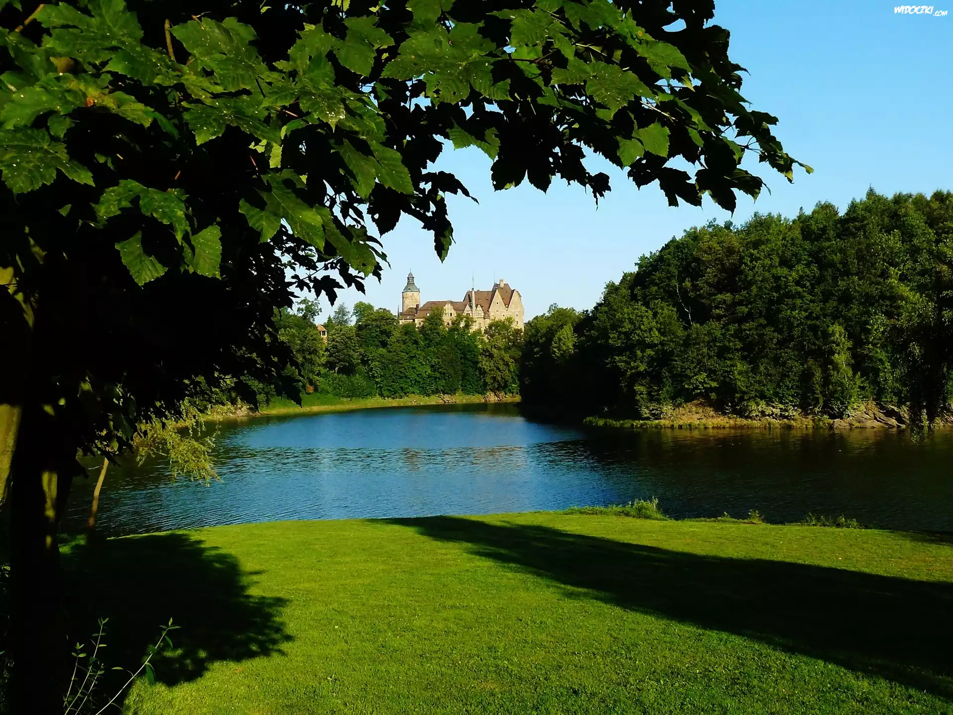 Jezioro, Zamek, Drzewa