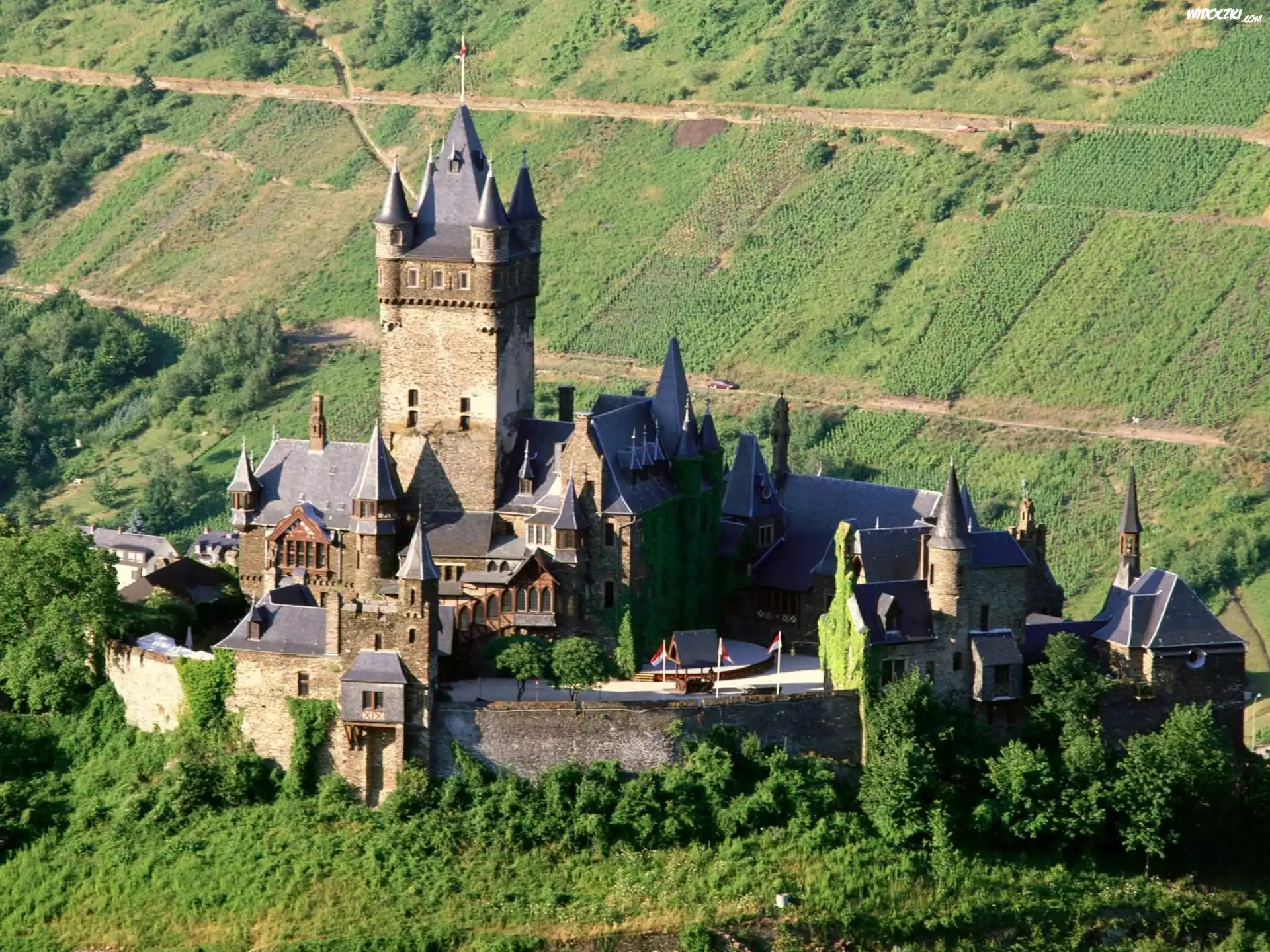 Zamek, Łąki, Pola, Uprawne
