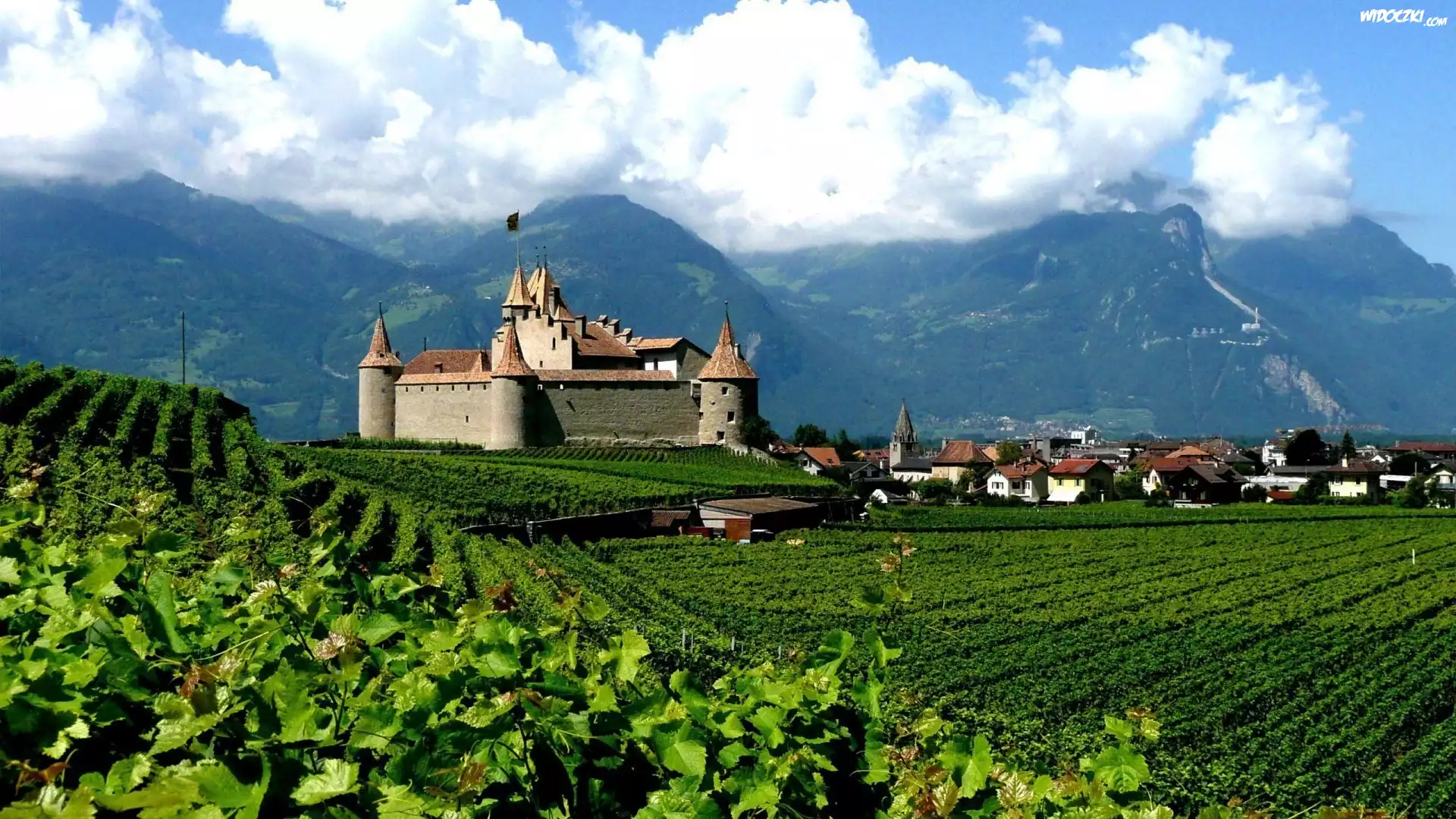 Zamek Aigle Castle, Region Chablais Vaudois, Szwajcaria, Winnice
