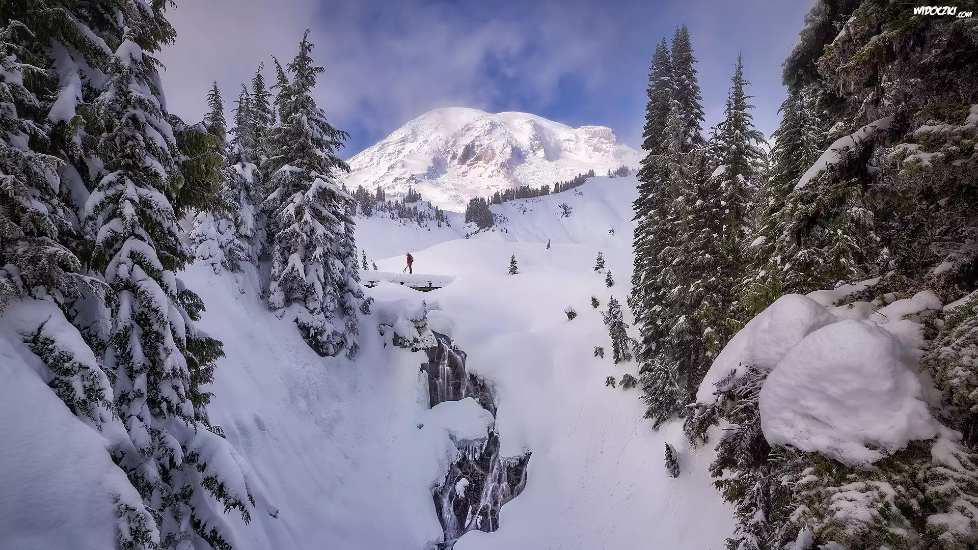 Zaśnieżony, Wodospad, Myrtle Falls, Park Narodowy Mount Rainier, Zima, Drzewa, Góry, Góra, Mount Rainier, Stan Waszyngton, Stany Zjednoczone