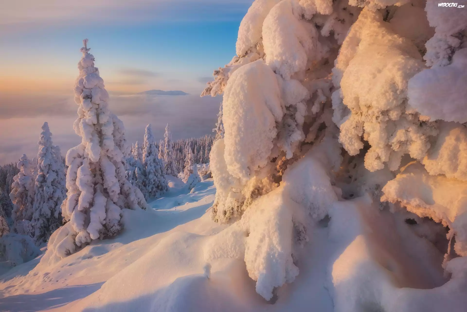 Rosja, Góry Ural, Południowy Ural, Zima, Ośnieżone, Drzewa, Zaspy