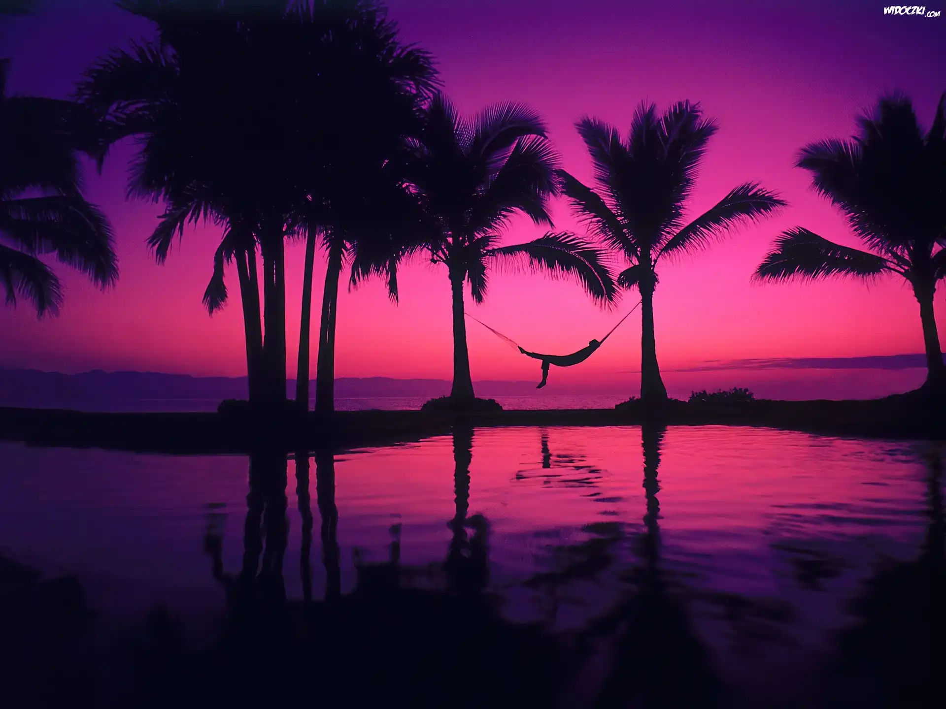 Zatoka, Puerta, Vallarta, Meksyk