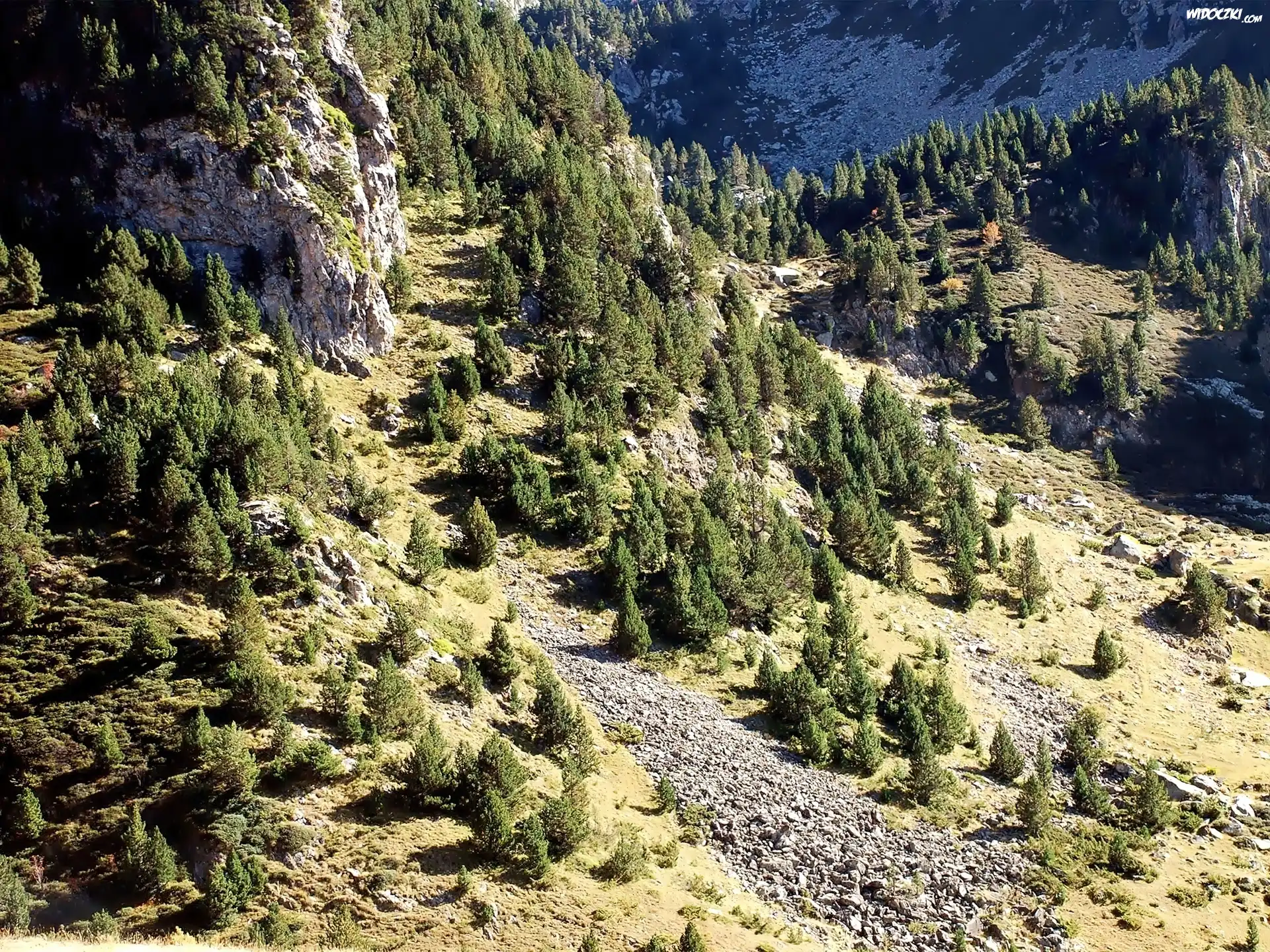 Zbocza, Gór, Skały, Lasy, Świerkowe