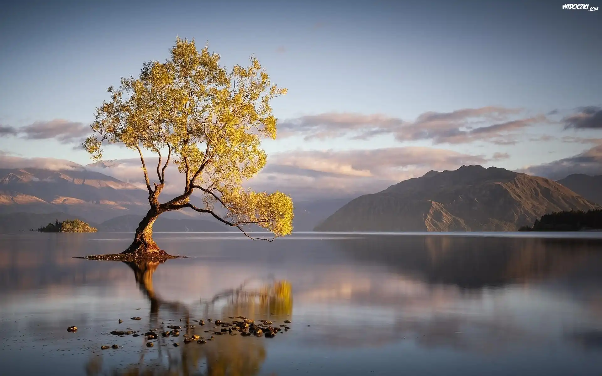 Nowa Zelandia, Jezioro Wanaka, Góry, Drzewo, Odbicie