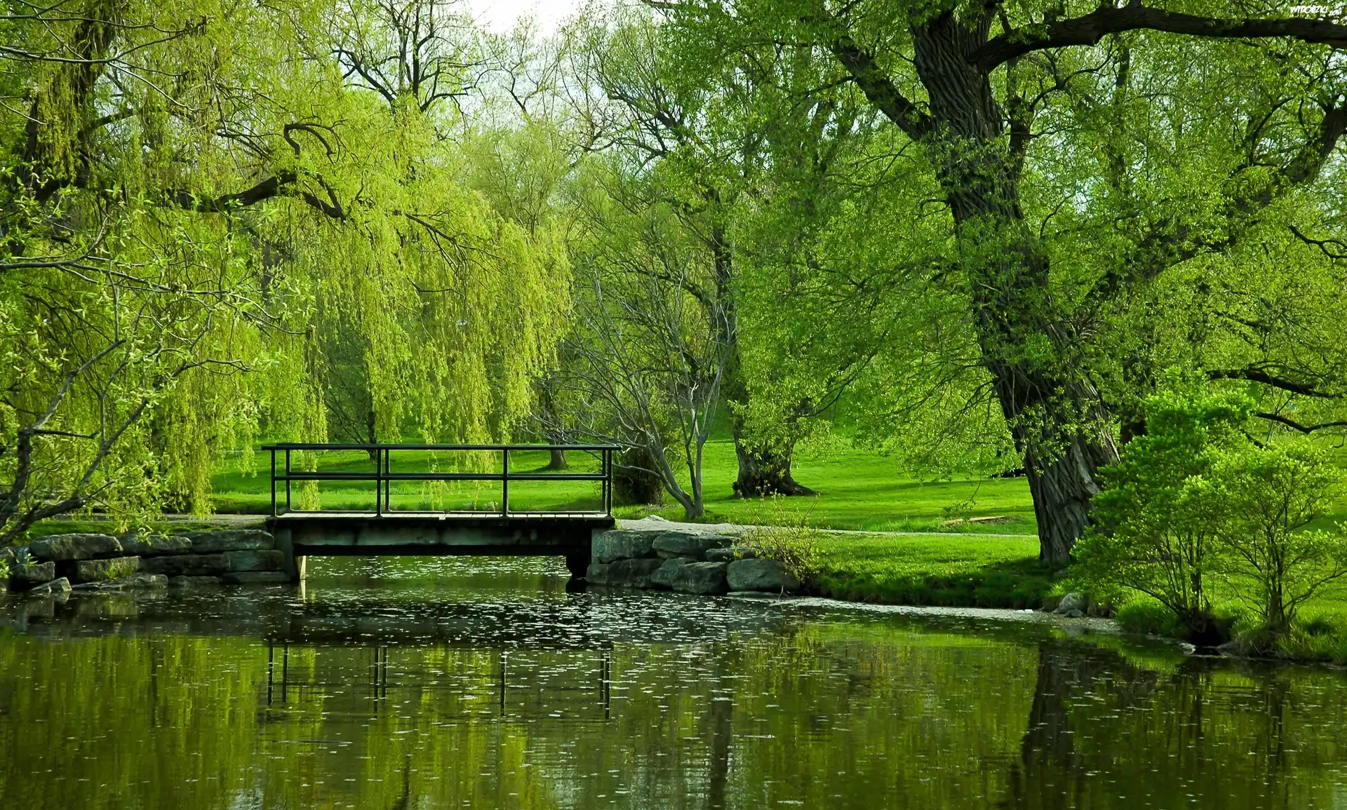 Zielony, Park, Rzeka, Drzewa, Most, Lato
