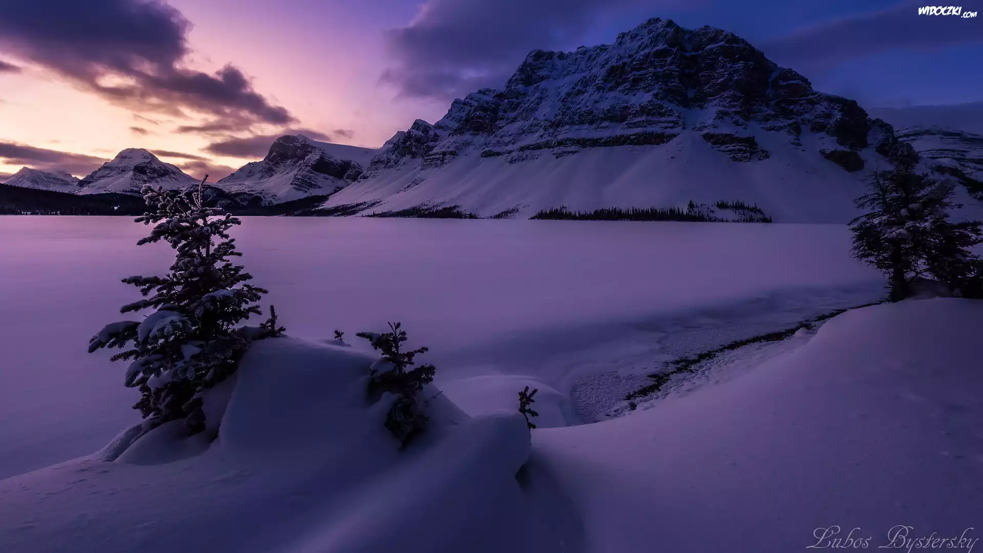 Zima, Góry, Góra Crowfoot Mountain, Zaśnieżone, Jezioro, Bow Lake, Drzewa, Park Narodowy Banff, Alberta, Kanada