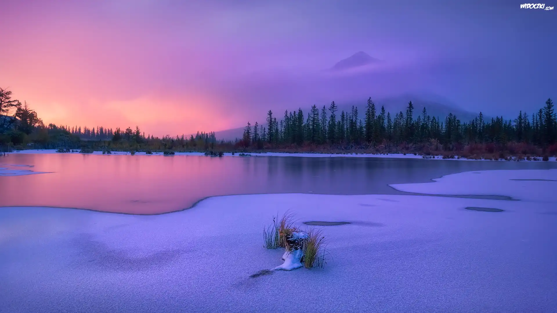 Zima, Jezioro, Vermilion Lake, Szczyt, Góry, Canadian Rockies, Park Narodowy Banff, Drzewa, Mgła, Alberta, Kanada