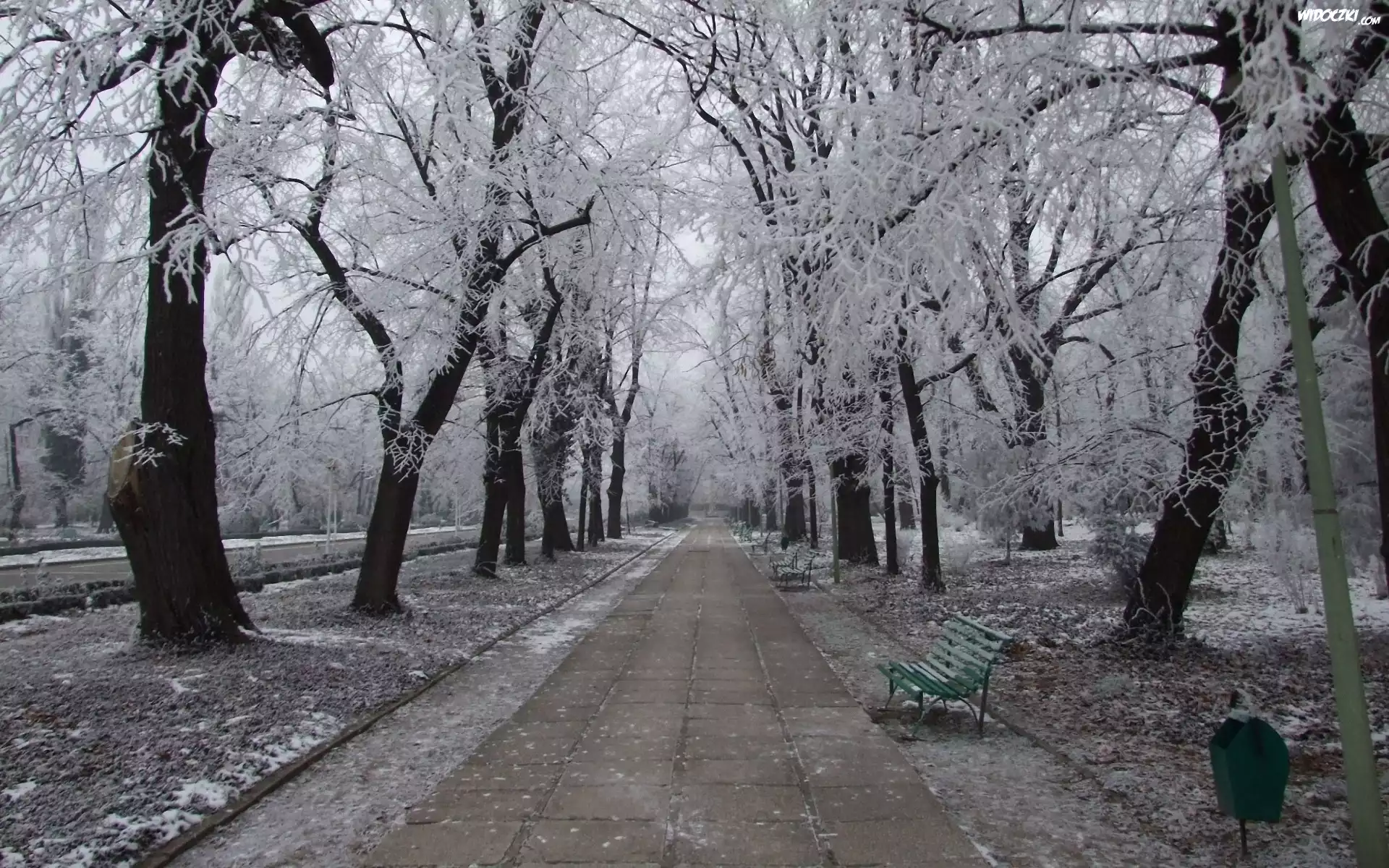 Zima, Park, Aleja, Ławki