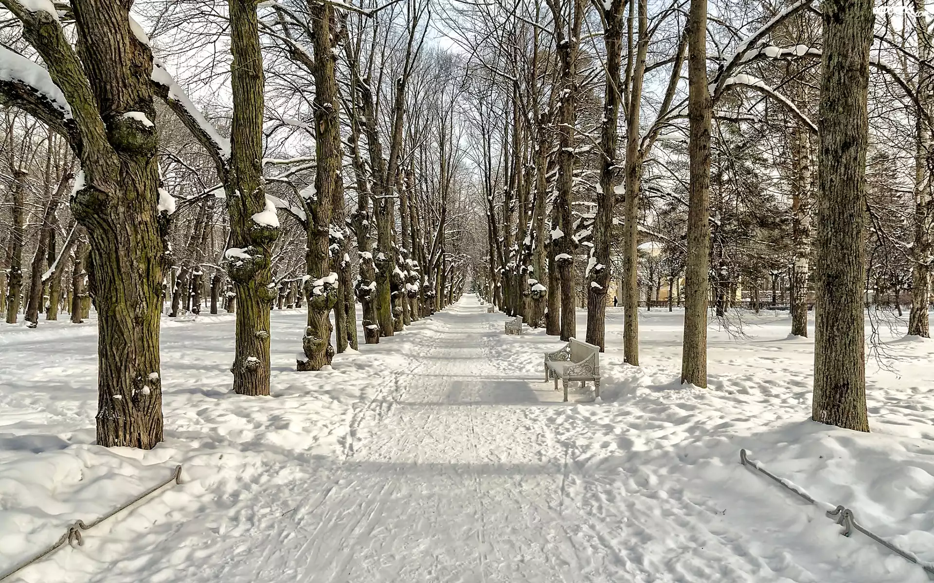 Zima, Park, Droga, Ławki, Drzewa
