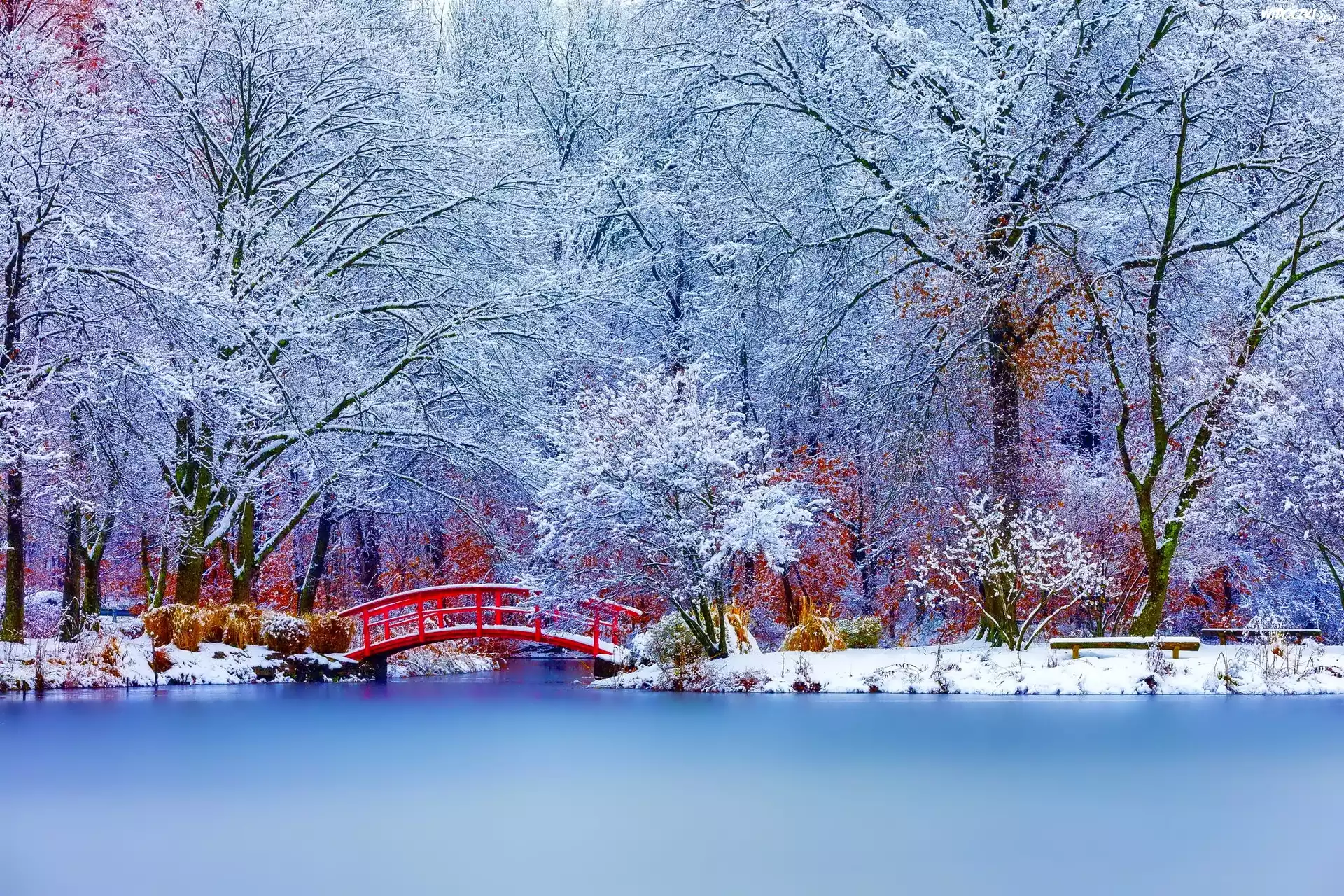Zima, Park, Staw, Czerwony, Mostek