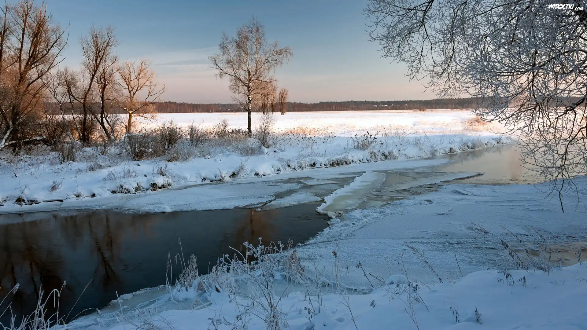 Zima, Rzeka, Rośliny, Drzewa, Pole