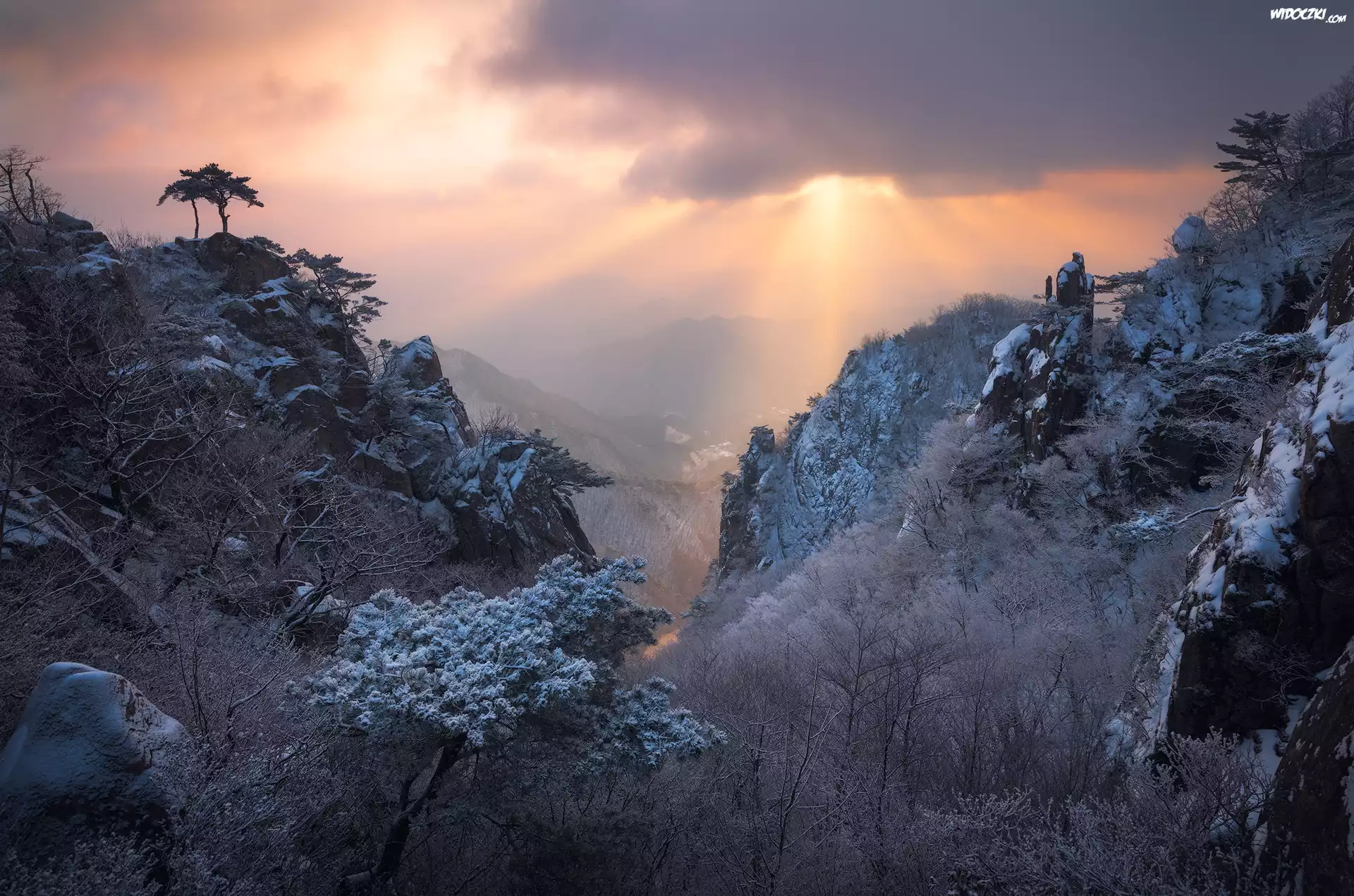 Zima, Góry, Mgła, Drzewa, Przebijające światło, Park prowincjonalny Daedunsan, Jeolla Północna, Korea Południowa