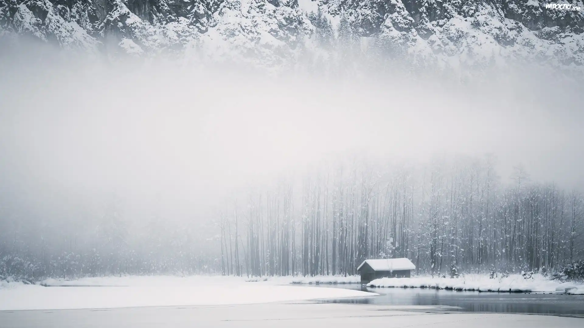 Zima, Śnieg, Mgła, Las, Jezioro