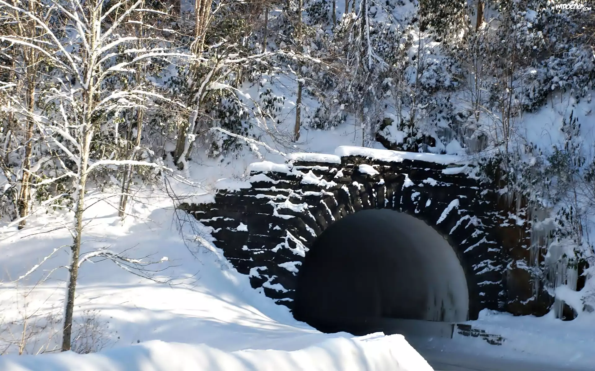 Zima, Śnieg, Tunel. Las, Drzewa