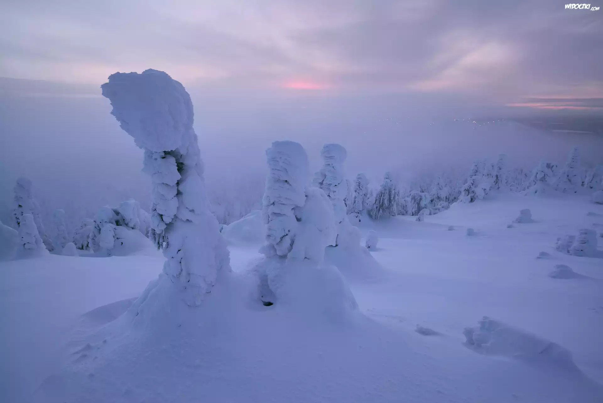 Zima, Góry, Zaśnieżone, Drzewa, Mgła, Finlandia