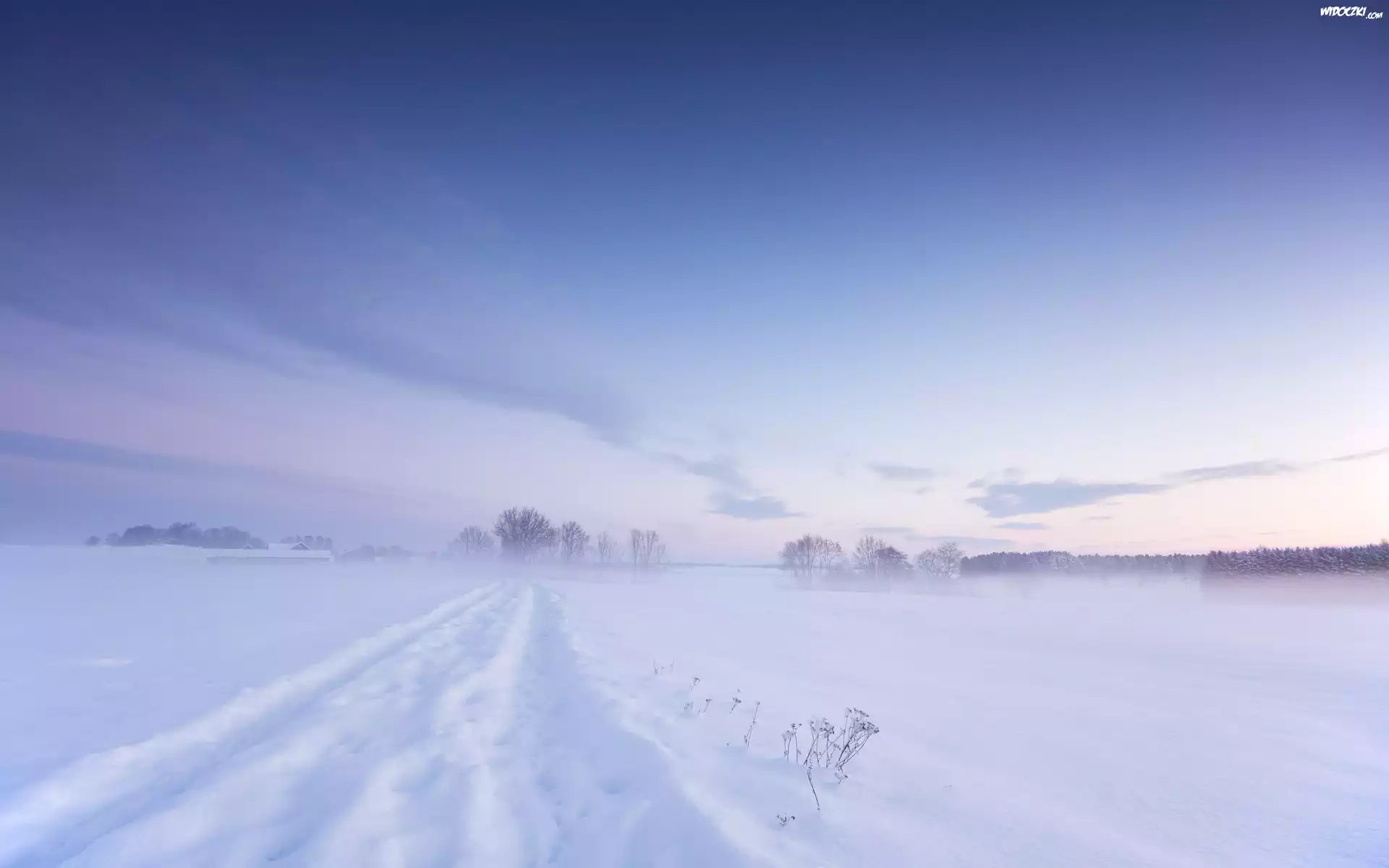 Zima, Åšnieg