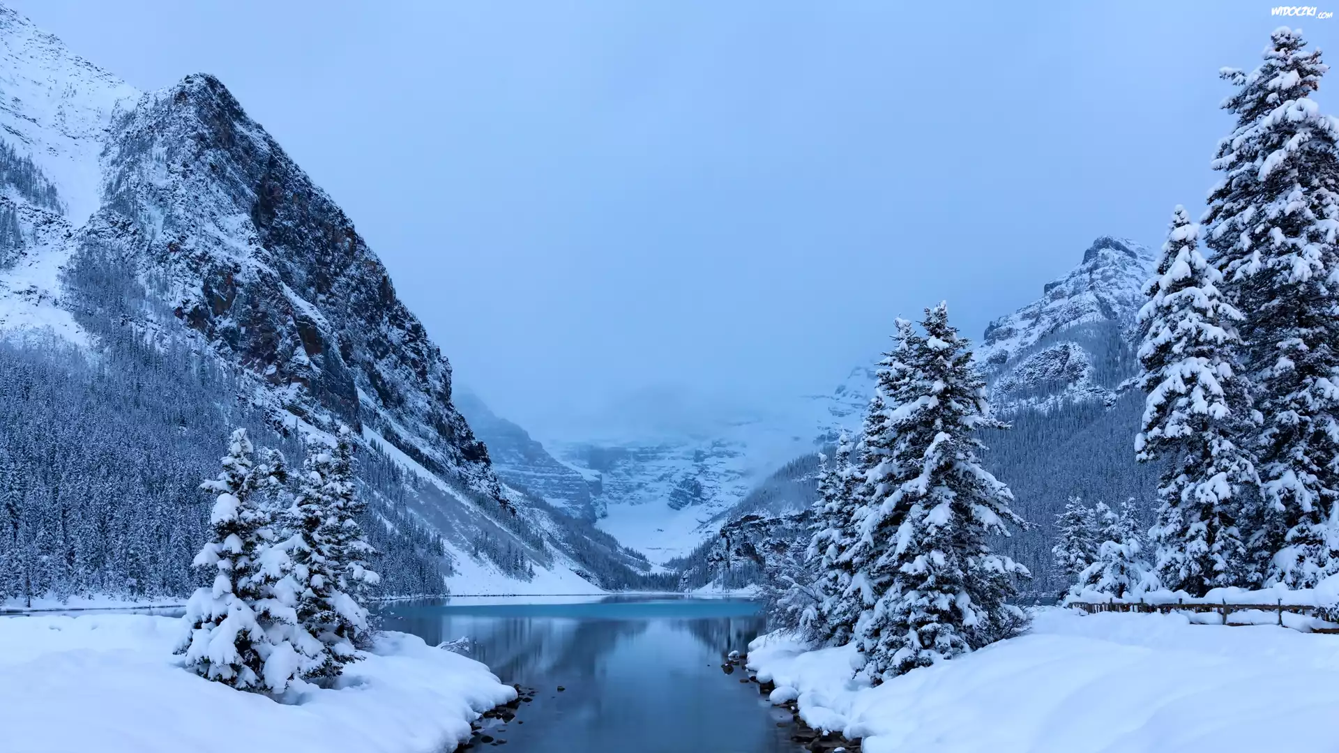 Kanada, Prowincja Alberta, Park Narodowy Banff, Góry, Jezioro Lake Louise, Zima, Świerki