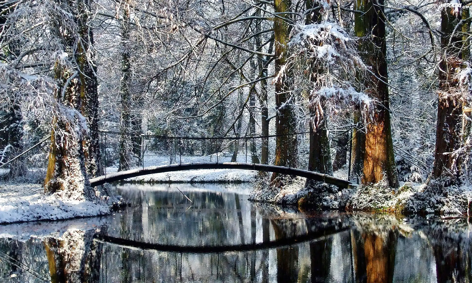 Zima, Las, Rzeczka, Mostek