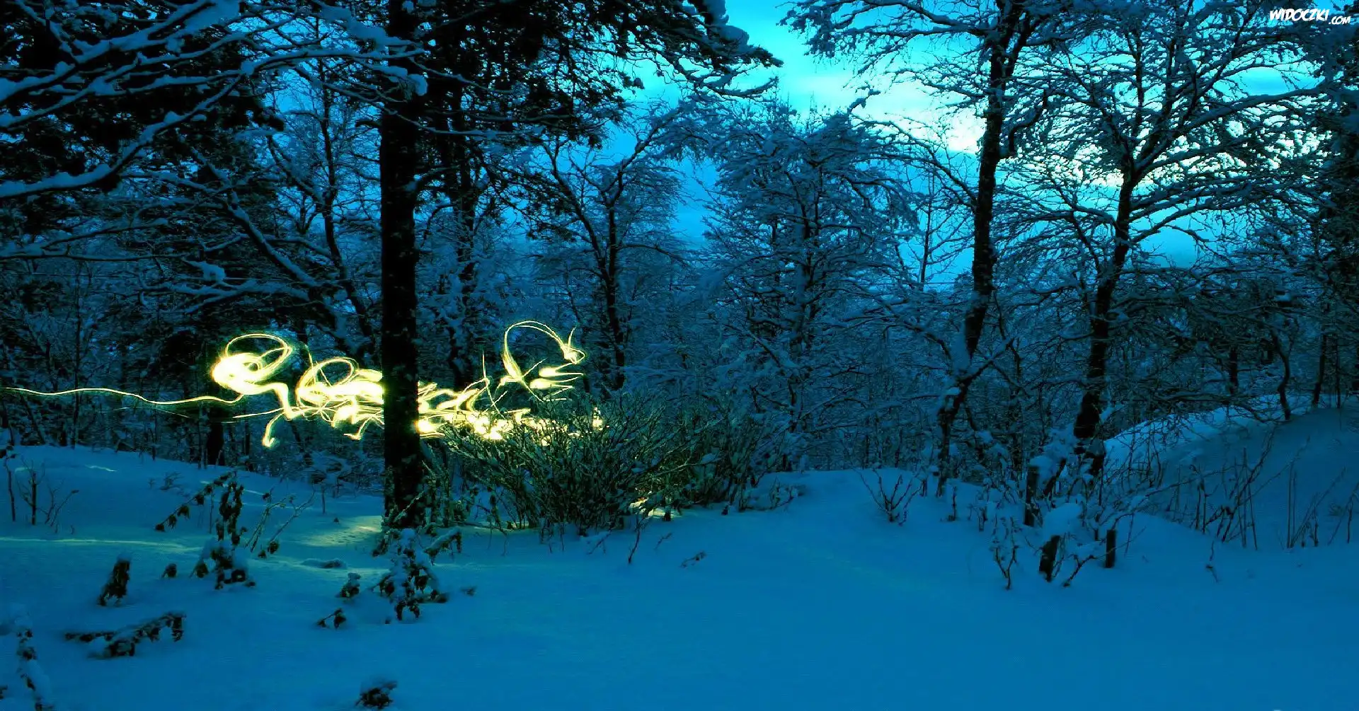 Zima, Drzewa, Światełko, Noc