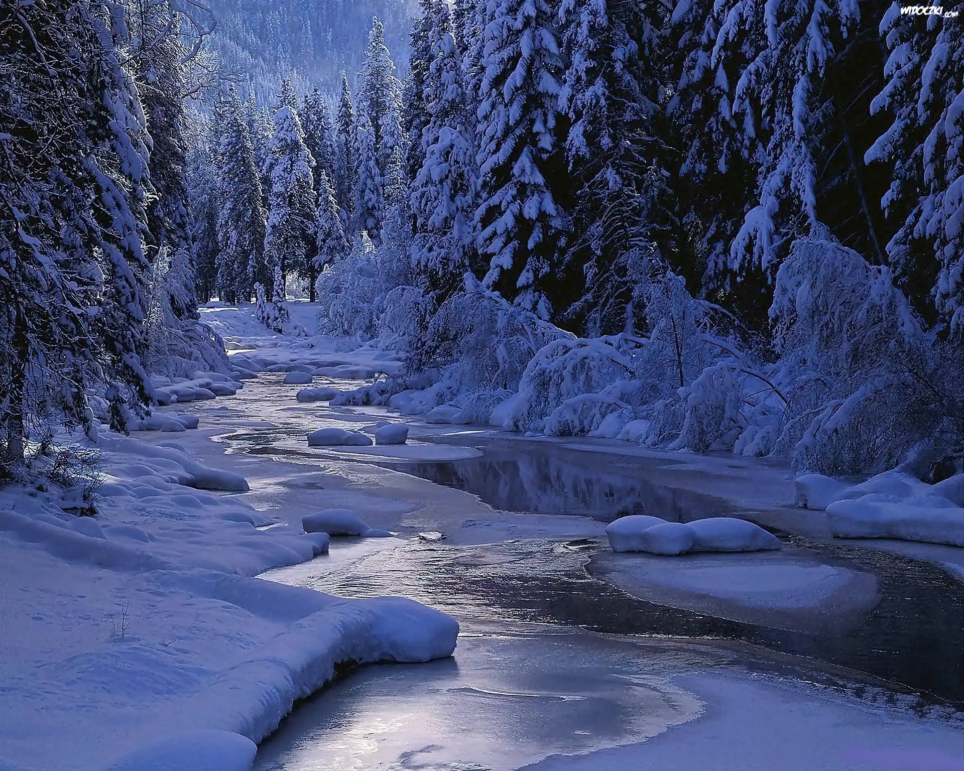 Zima, Noc, Las, Rzeka, Światło, Cień