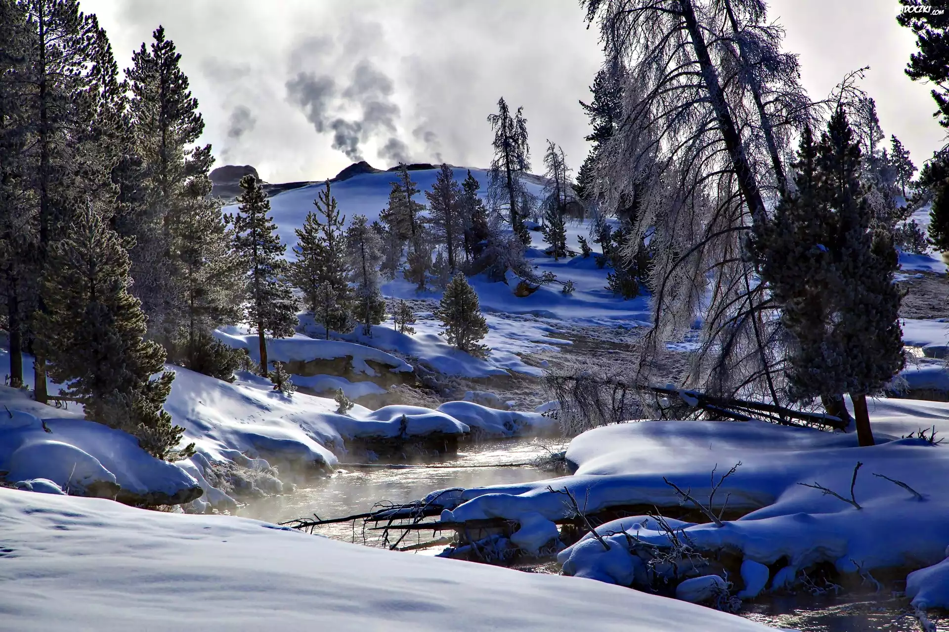 Stany Zjednoczone, Stan Wyoming, Park Narodowy Yellowstone, Rzeka Firehole River, Zima, Drzewa
