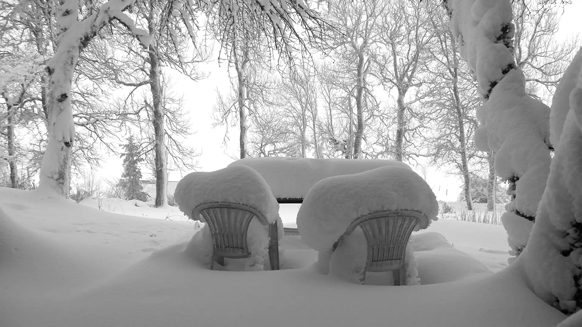 Zima, Śnieg, Drzewa, Zaśnieżone, Krzesła