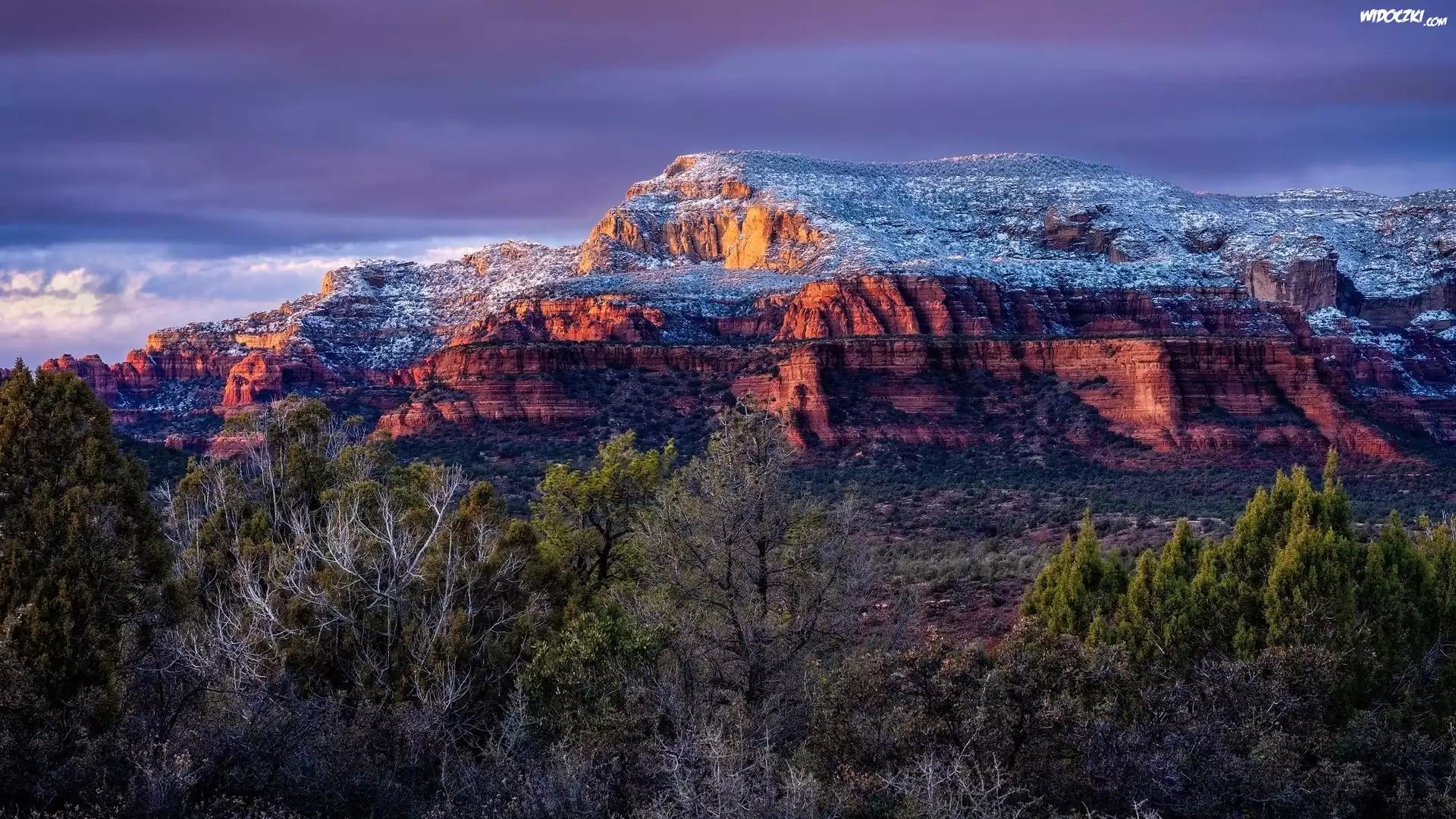 Czerwone, Skały, Drzewa, Sedona, Stan Arizona, Stany Zjednoczone
