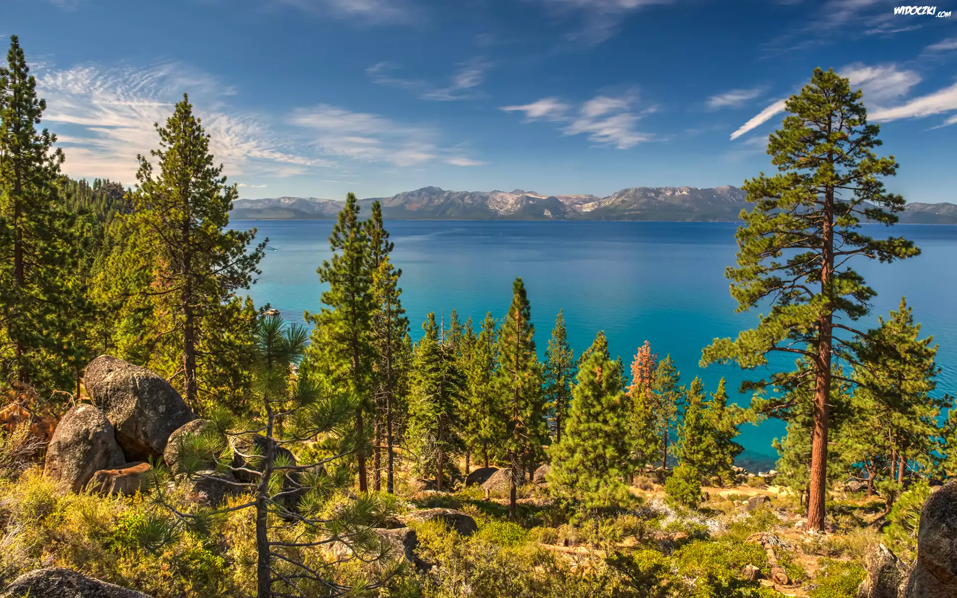 Stany Zjednoczone, Stan Newada, Jezioro Tahoe, Wzgórza, Drzewa