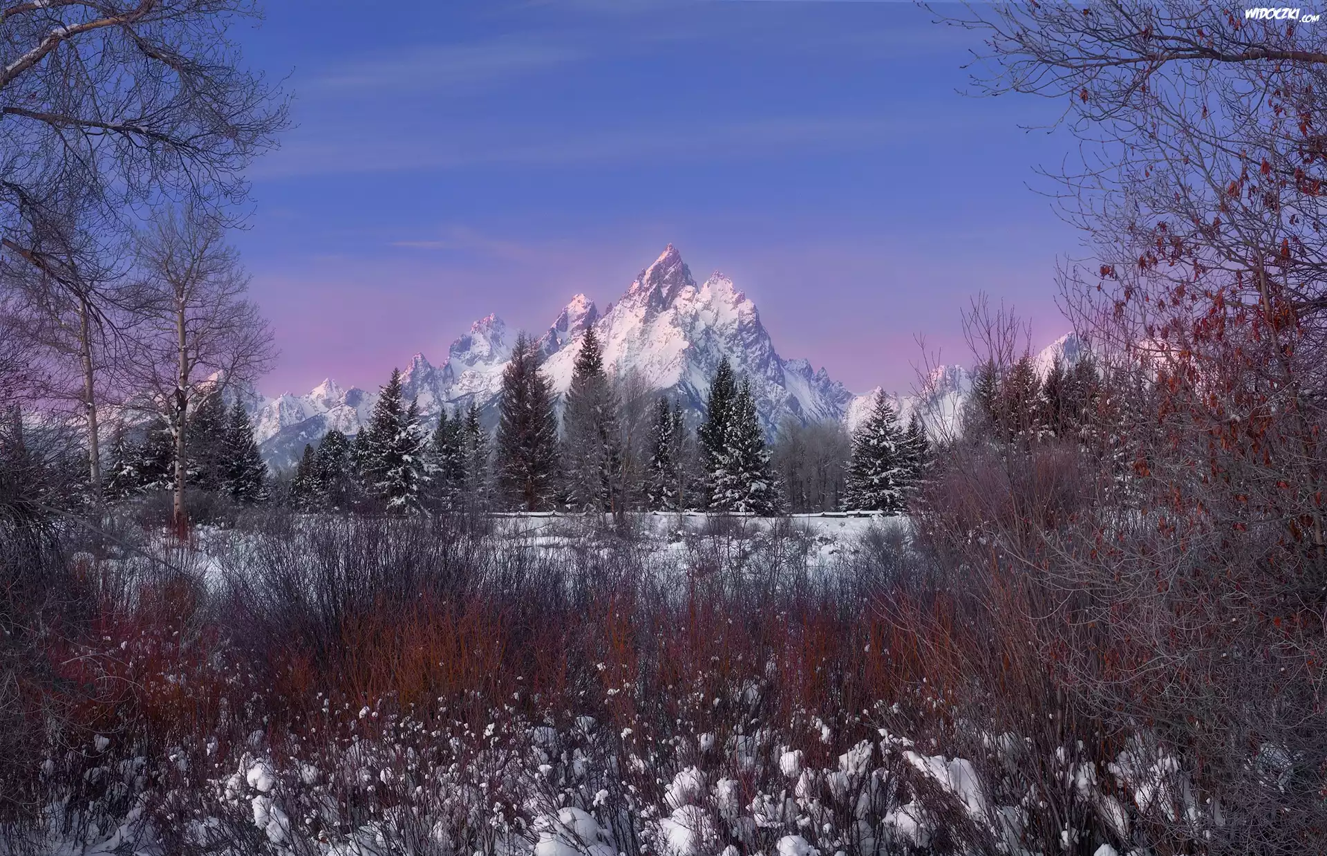 Zima, Góry, Drzewa, Park Narodowy Grand Teton, Wyoming, Stany Zjednoczone