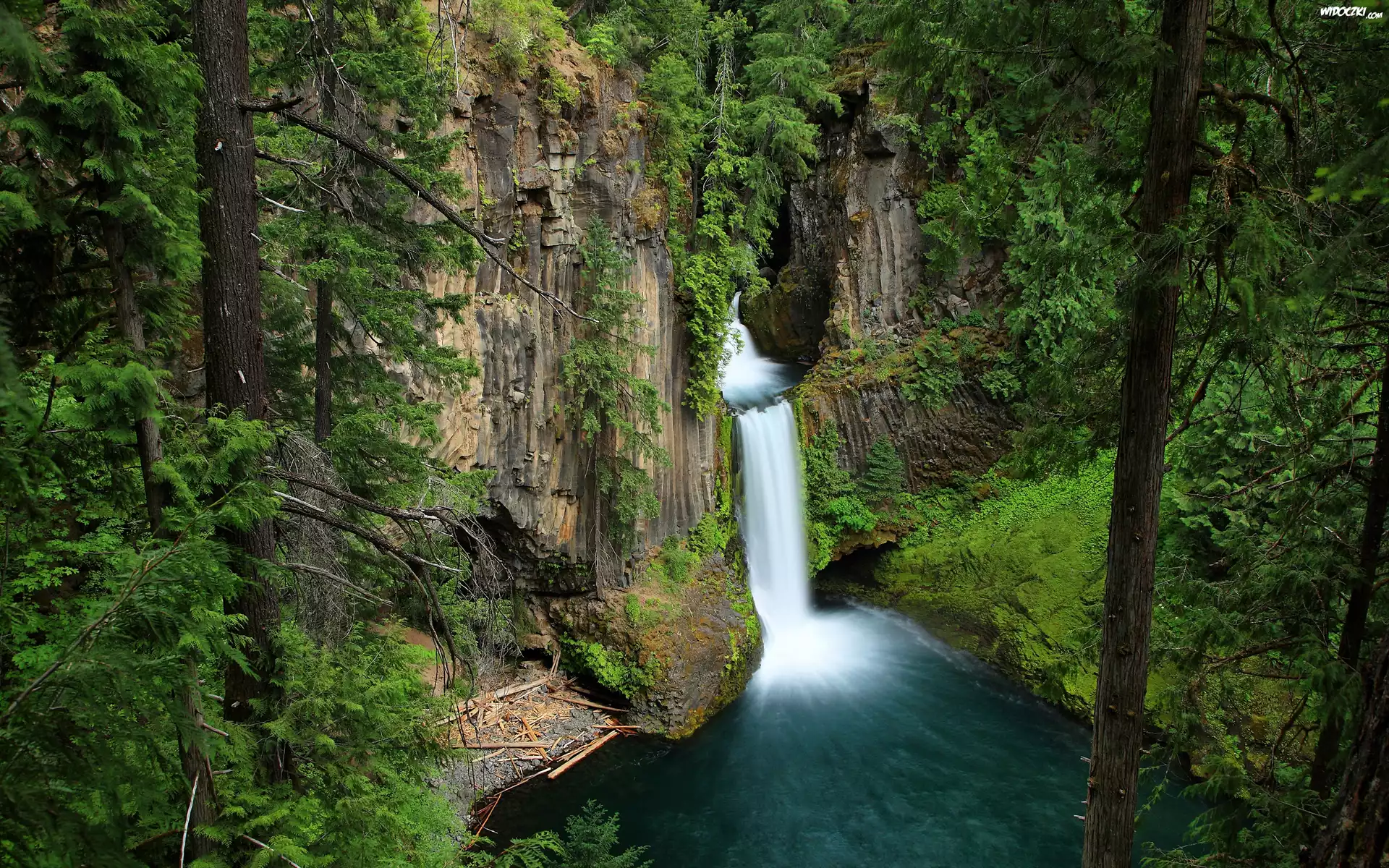 Las, Wodospad Toketee, Park Narodowy Jeziora Kraterowego, Oregon Stany Zjednoczone