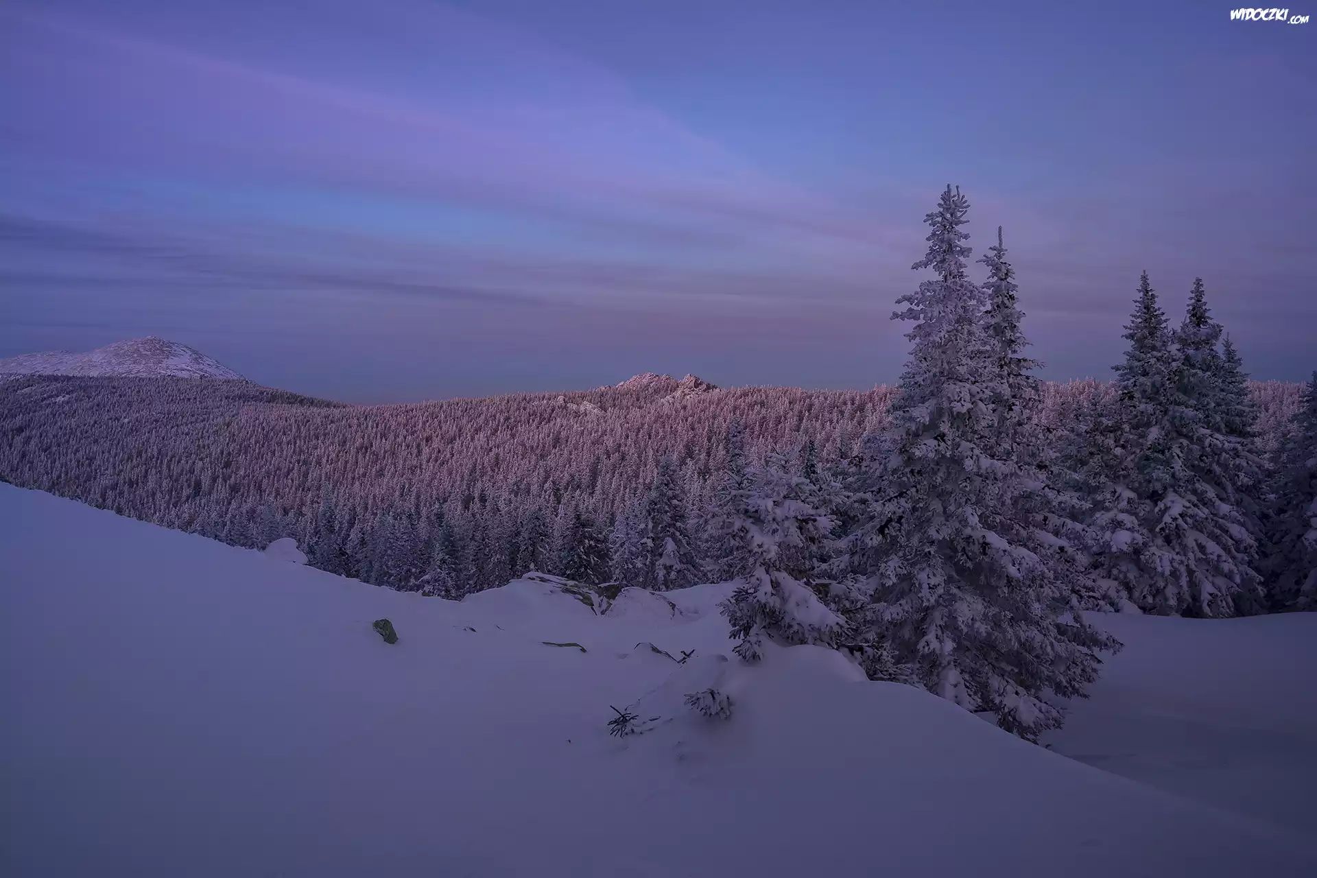Wzgórza, Góry, Skały, Drzewa, Zima, Zmierzch, Park Narodowy Taganaj, Obwód czelabiński, Rosja