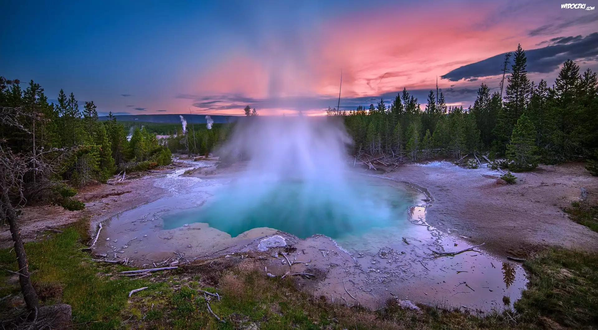 Stany Zjednoczone, Stan Wyoming, Park Narodowy Yellowstone, Gejzery, Gorące źródła