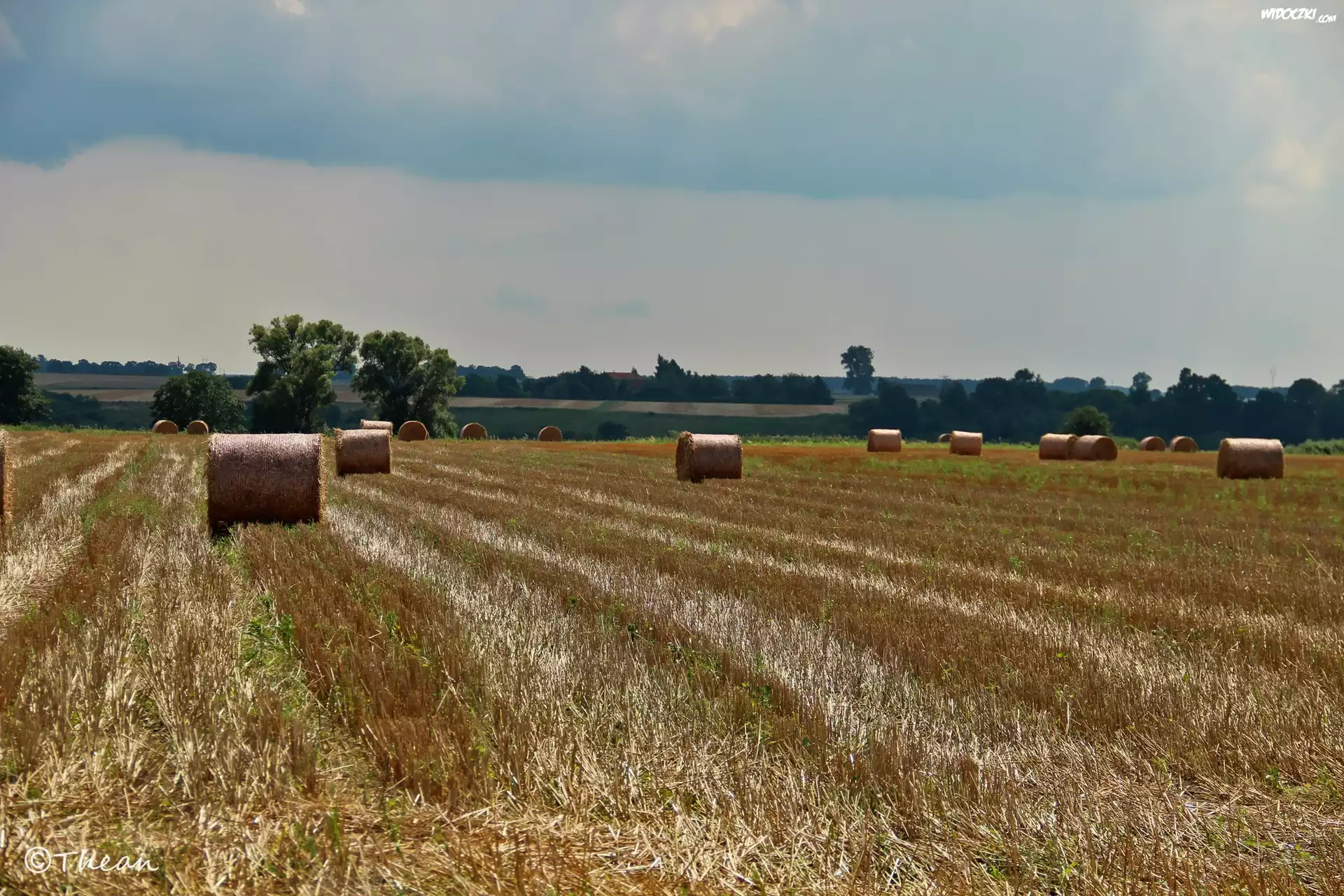 Zżęte, Zboże, Pole, Lato